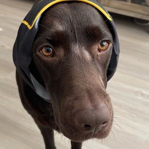 Meet your Posher, Charles